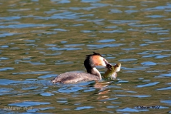IMG_3525_2