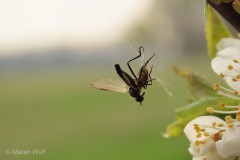 IMG_4355