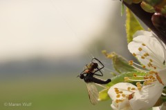 IMG_4362