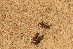 IMG_5588