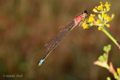 IMG_7880