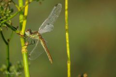 IMG_8381