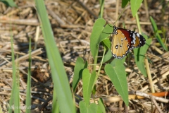 P1340037