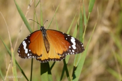 P1340083