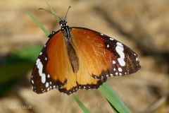 P1340093