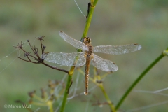 P1350431