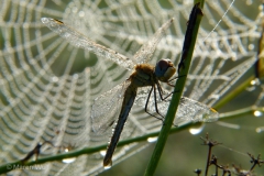 P1350496
