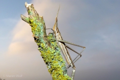 P1630891