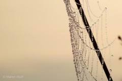 1_IMG_3826