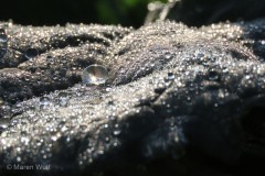 IMG_0076