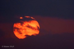 IMG_0943
