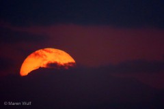 IMG_0949