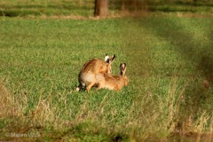 IMG_1624