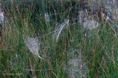 IMG_3028