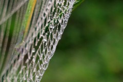 IMG_3089