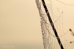 IMG_3827