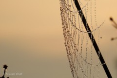 IMG_3834