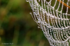 IMG_3877