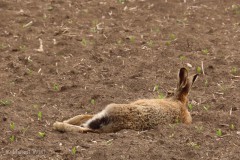 IMG_5514