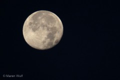 IMG_7882_2