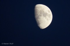IMG_8259