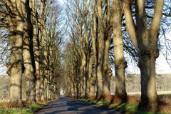 IMG_8682-Kopie