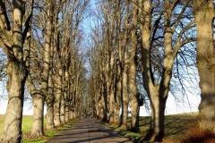 IMG_8689-Kopie
