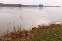 IMG_9149