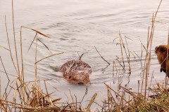 IMG_9194