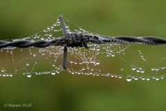 IMG_9374