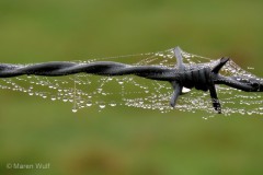 IMG_9390