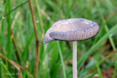 IMG_9628