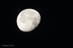 IMG_9987