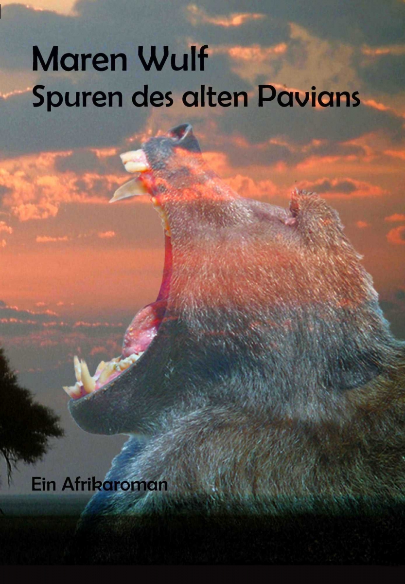 090113_Pavian_vorderes_Cover_Final