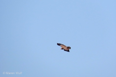 IMG_8102