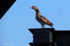 IMG_2875